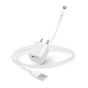 iPhone Charger