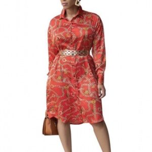 Long Sleeves Turndown Collar A-Line Knee-Length Print Casual Dress