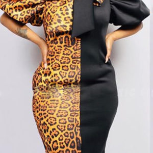 Leopard Print Knee Length Dress